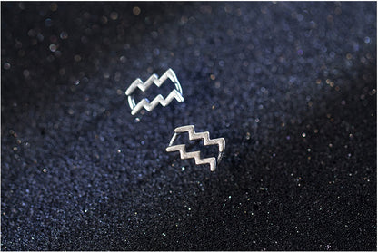 12 constellation earrings simple wishing earrings earrings